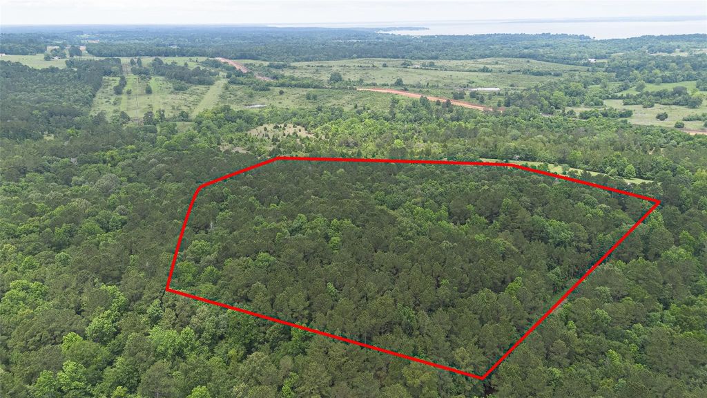 0 Rose Hill Road, Coldspring, TX 77331