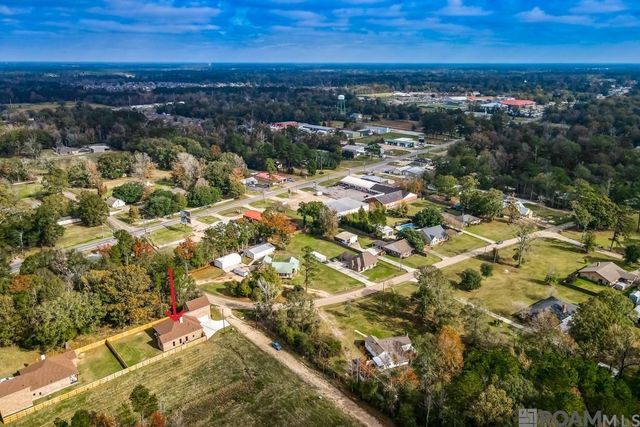 11922 Pendarvis Ln, Walker, LA 70785