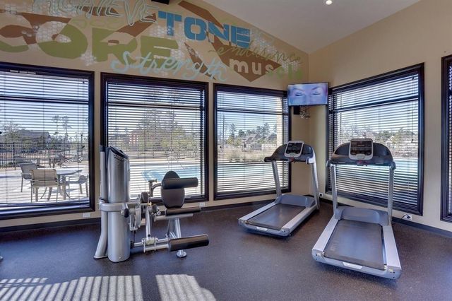 3325 Harmony View Lane, Spring, TX 77386