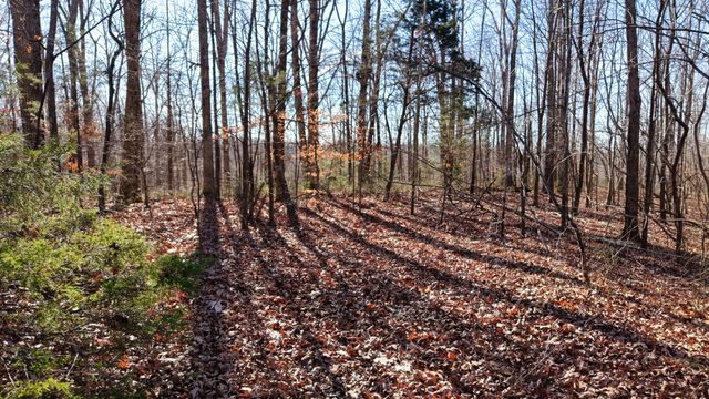 0 Old Swan Rd, Centerville, TN 37033