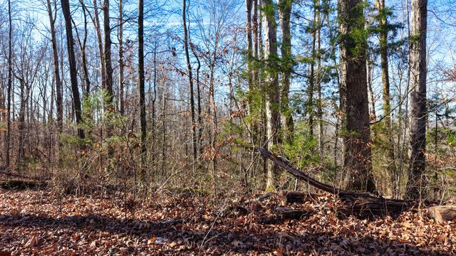 0 Old Swan Rd, Centerville, TN 37033