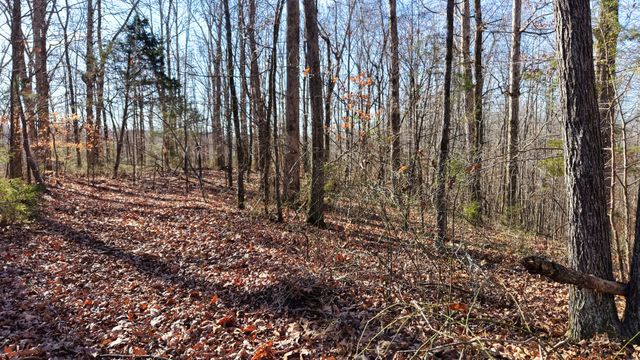 0 Old Swan Rd, Centerville, TN 37033