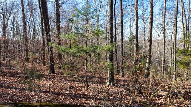 0 Old Swan Rd, Centerville, TN 37033