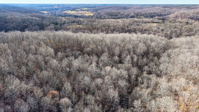 0 Old Swan Rd, Centerville, TN 37033