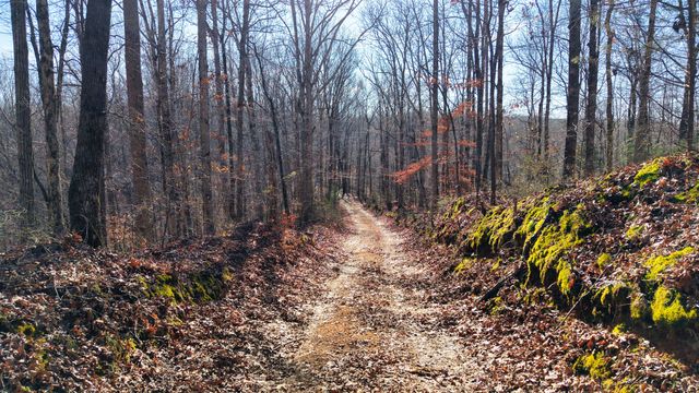 0 Old Swan Rd, Centerville, TN 37033