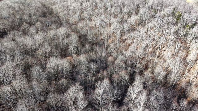 0 Old Swan Rd, Centerville, TN 37033