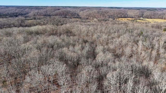 0 Old Swan Rd, Centerville, TN 37033