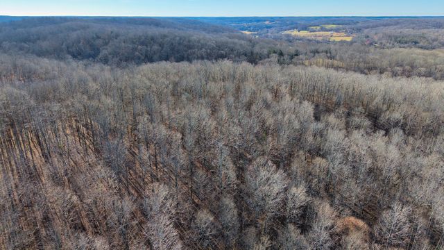 0 Old Swan Rd, Centerville, TN 37033