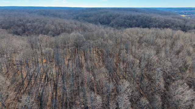 0 Old Swan Rd, Centerville, TN 37033