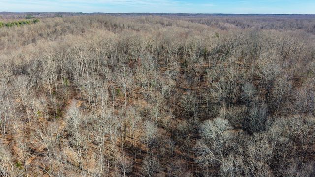 0 Old Swan Rd, Centerville, TN 37033