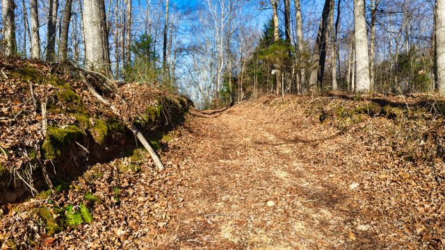 0 Old Swan Rd, Centerville, TN 37033