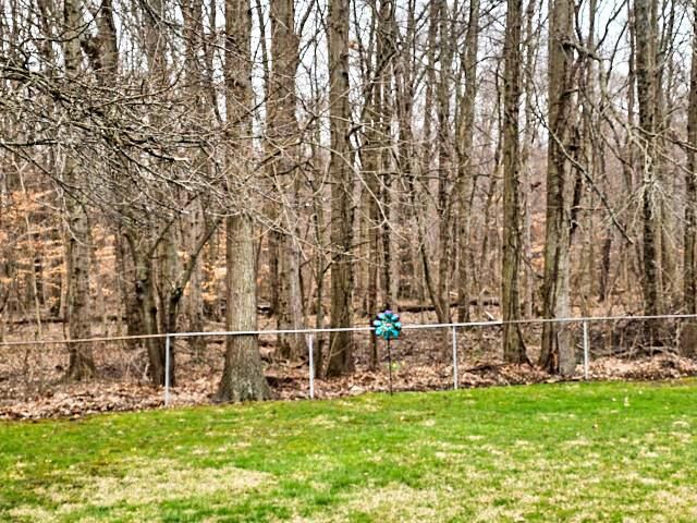 424 Sycamore Drive, Pickerington, OH 43147