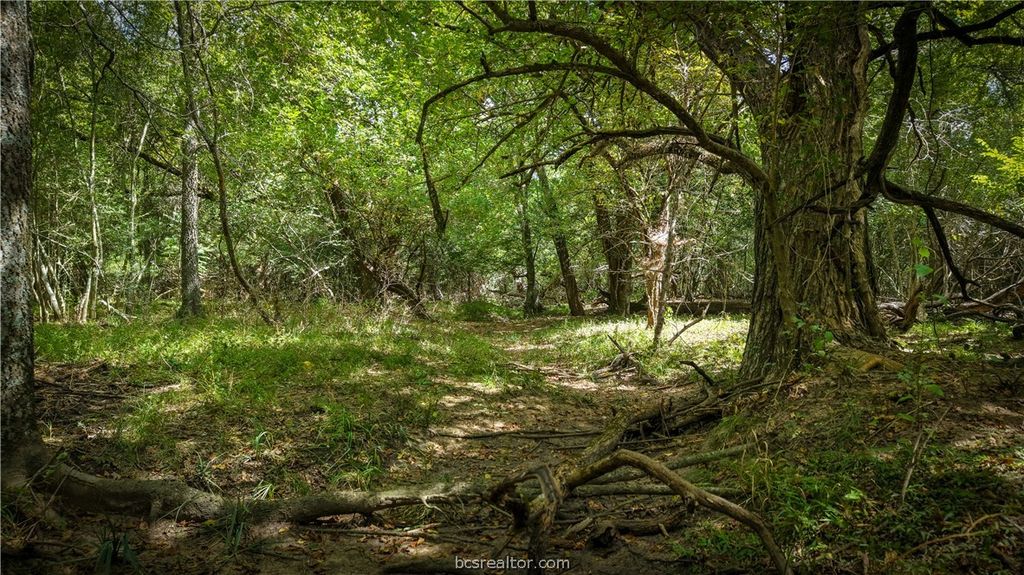 Tract 5 Mensik, Bryan, TX 77808 — photo 5