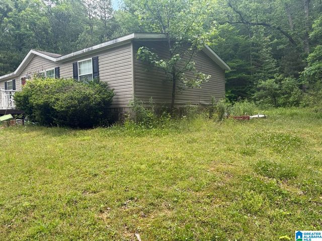 171 PHILLIPS 40 DRIVE, Odenville, AL 35120
