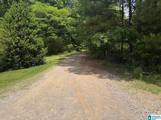 171 PHILLIPS 40 DRIVE, Odenville, AL 35120