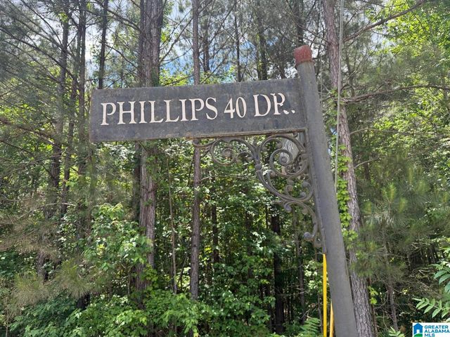 171 PHILLIPS 40 DRIVE, Odenville, AL 35120