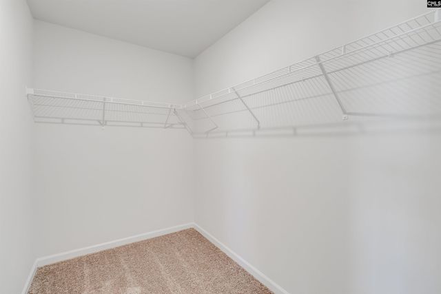 390 Hardwick Drive, Columbia, SC 29223