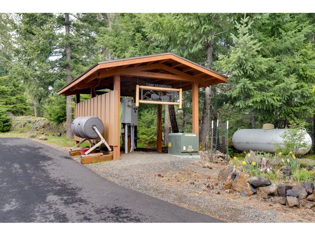 36 LONESOME PINES Dr, Trout Lake, WA 98650
