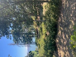 0 Dunlin Lane Lot 952, Klamath Falls, OR 97601