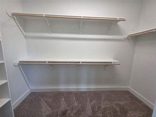 101 Cedar Hammock Trail, Tomball, TX 77375