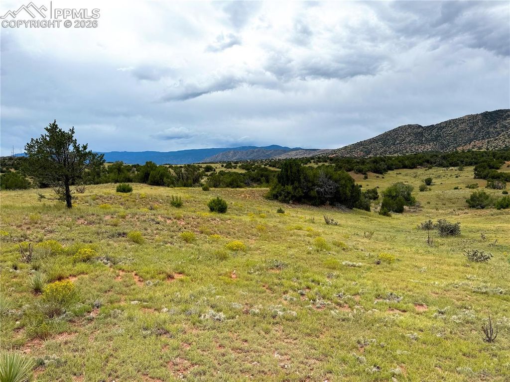 601 County Road 69, Canon City, CO 81212 — photo 2
