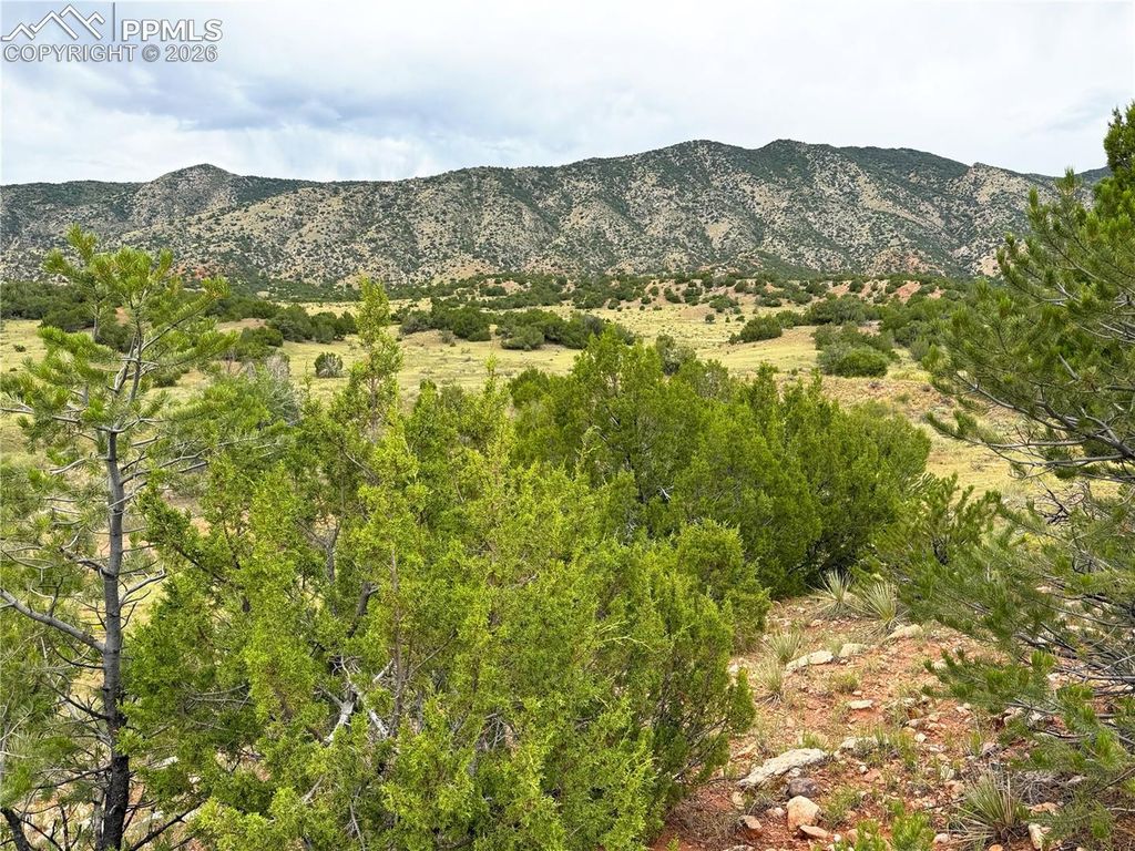 601 County Road 69, Canon City, CO 81212 — photo 3