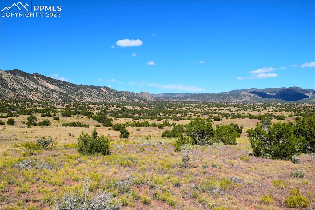 601 County Road 69, Canon City, CO 81212 — photo 4