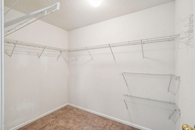 437 Dovetail Circle, Summerville, SC 29483