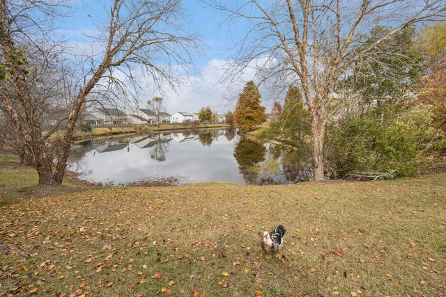 437 Dovetail Circle, Summerville, SC 29483