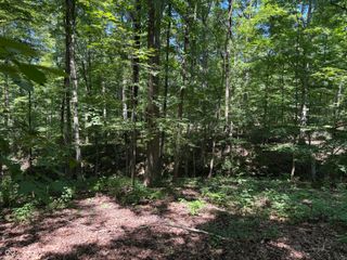 X Fox Court, Nineveh, IN 46164