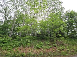 9492 N Shore Trail N, Forest Lake, MN 55025