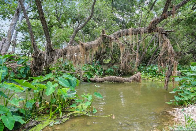 6160 Fm 2538, Marion, TX 78124