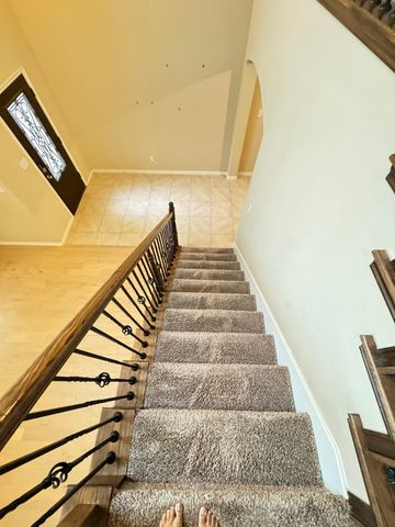 10020 Long Branch Drive, Mckinney, TX 75071