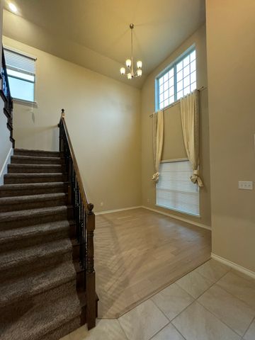 10020 Long Branch Drive, Mckinney, TX 75071