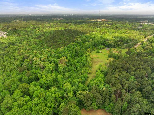 00 CR 2209, Tyler, TX 75707