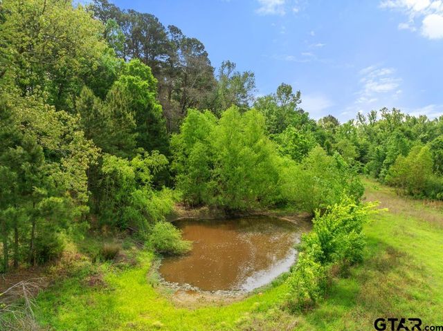 00 CR 2209, Tyler, TX 75707