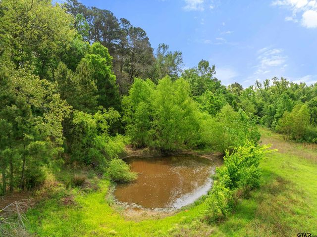 00 CR 2209, Tyler, TX 75707