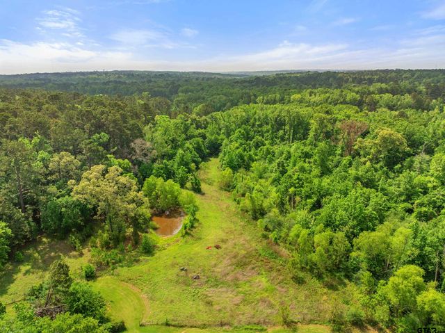 00 CR 2209, Tyler, TX 75707