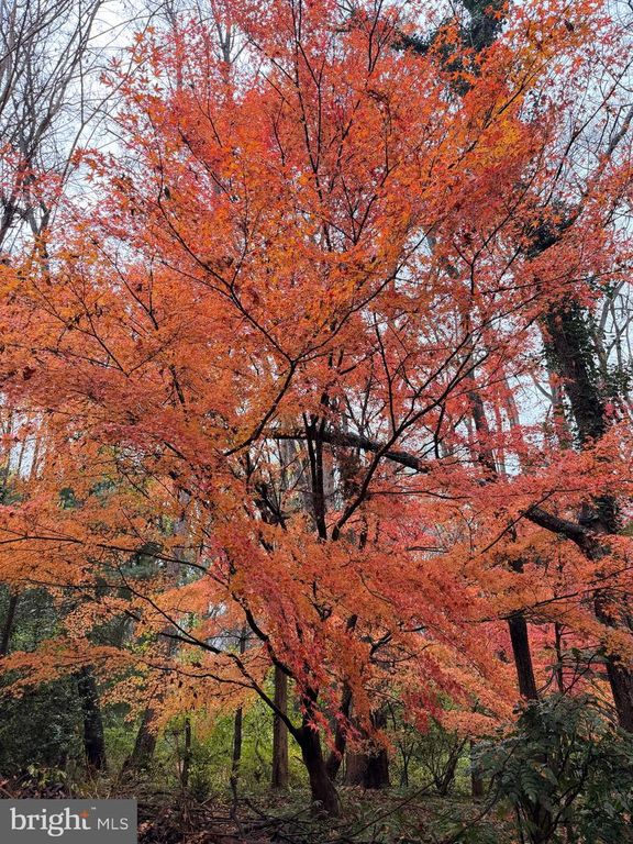 6811 JEREMIAH CT, Fairfax Station, VA 22039