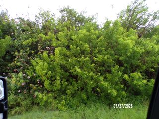 5306 Silver Oak Drive, Fort Pierce, FL 34982