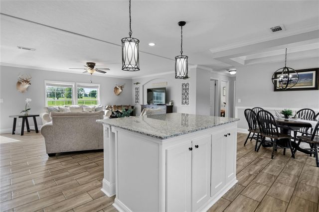 9650 COCKATOO LANE, Groveland, FL 34736