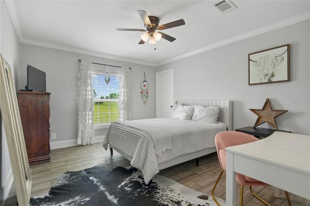 9650 COCKATOO LANE, Groveland, FL 34736