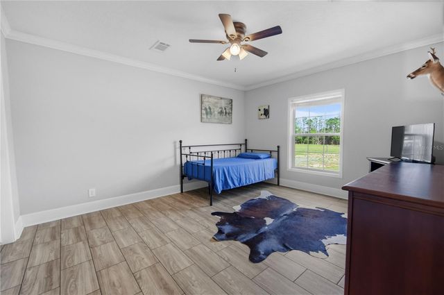 9650 COCKATOO LANE, Groveland, FL 34736