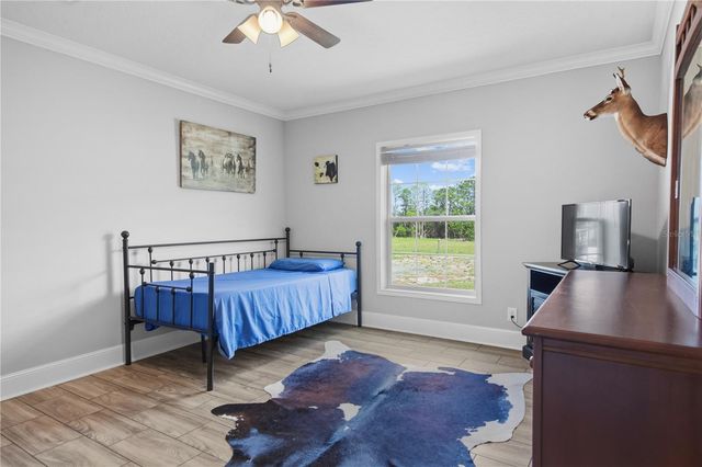 9650 COCKATOO LANE, Groveland, FL 34736