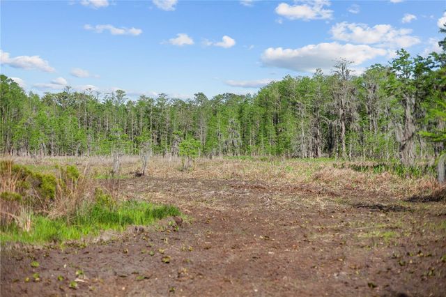9650 COCKATOO LANE, Groveland, FL 34736