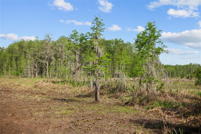 9650 COCKATOO LANE, Groveland, FL 34736
