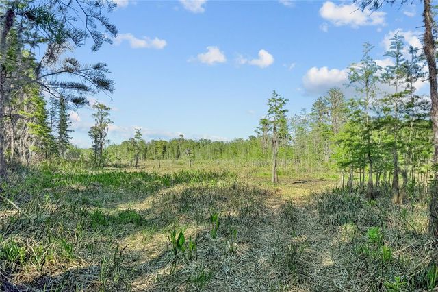 9650 COCKATOO LANE, Groveland, FL 34736