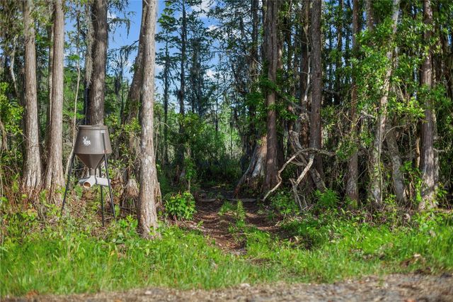 9650 COCKATOO LANE, Groveland, FL 34736