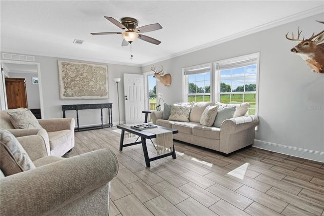 9650 COCKATOO LANE, Groveland, FL 34736