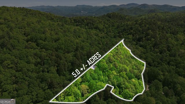 325 Kitchins Lane, Clayton, GA 30525